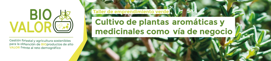 Cartel talleres