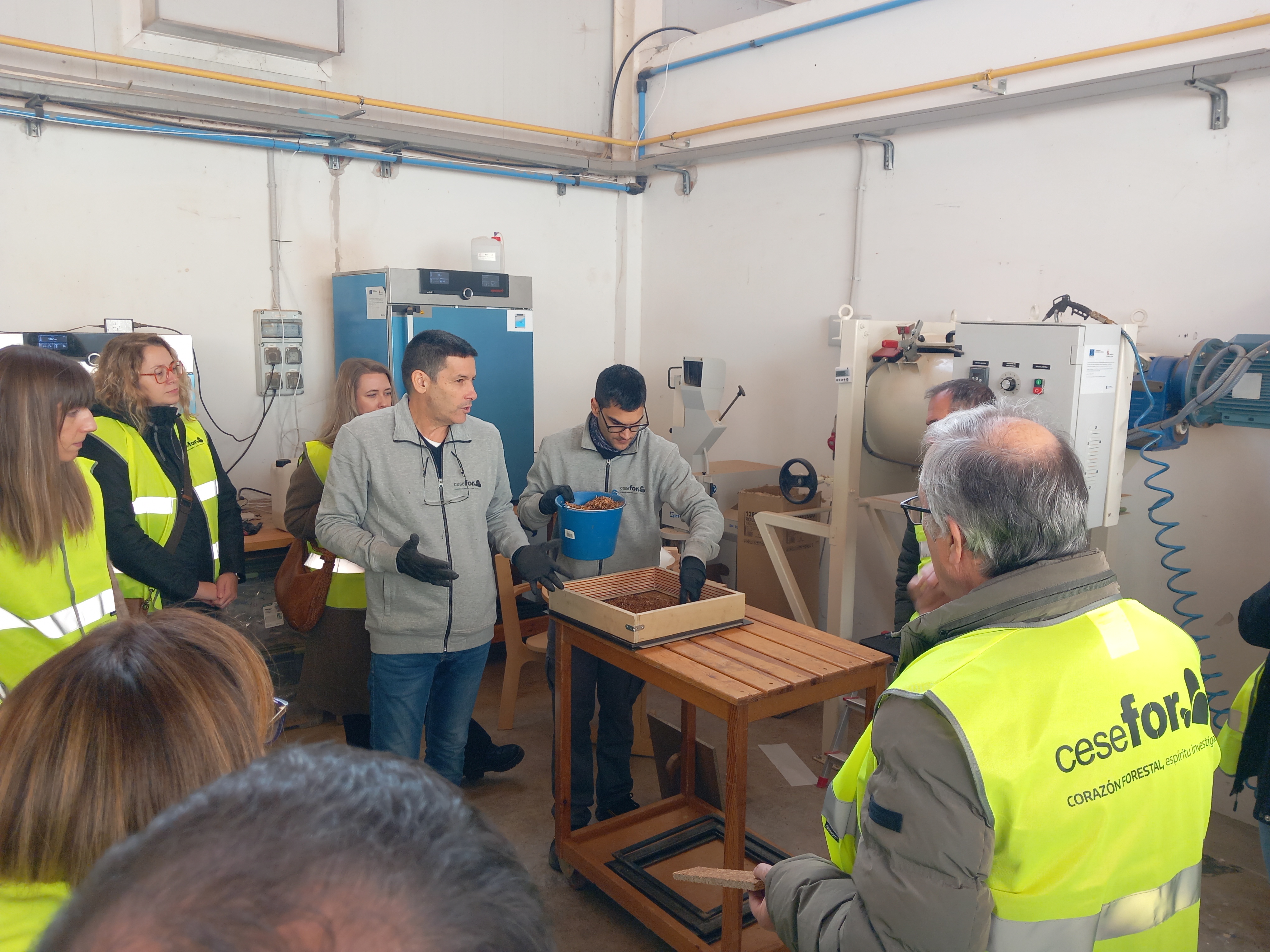 Visita al laboratorio de Cesefor donde se trabaja en la fabricación de tableros con las especies estudiadas en BIOVALOR