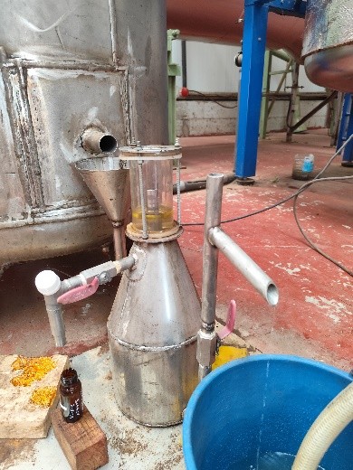 Proceso de destilación de plantas aromáticas tras la cosecha