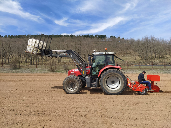 Siembra de lavanda para el proyecto Biovalor en la finca experimental de Ceder-Ciemat