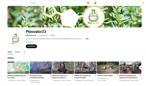 Se han realizado videos sobre los resultados del proyecto