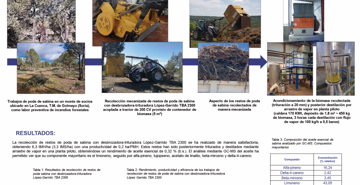 Póster de Biovalor mostrado en el 9º Congreso Forestal Español