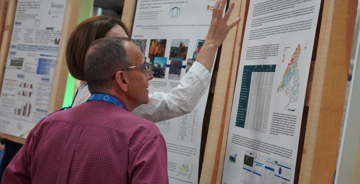 Póster de Biovalor mostrado en el 9º Congreso Forestal Español