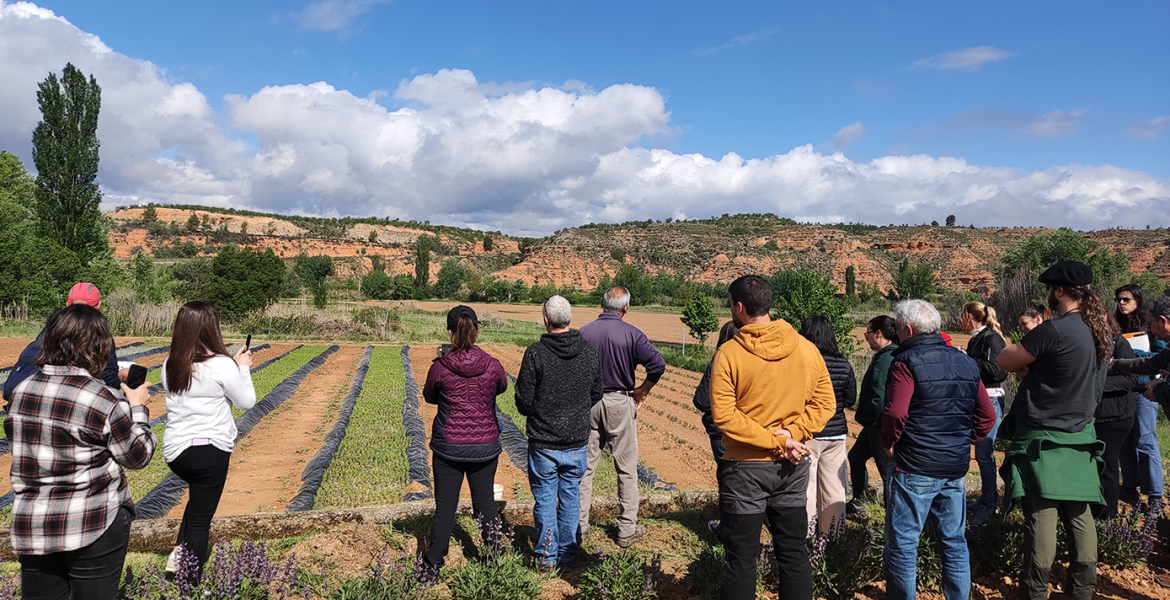 Demoday Biovalor - visita a Ecoaromuz