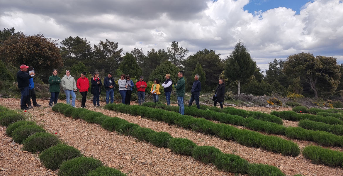 Demoday Biovalor - visita a Aromáticas Orduña