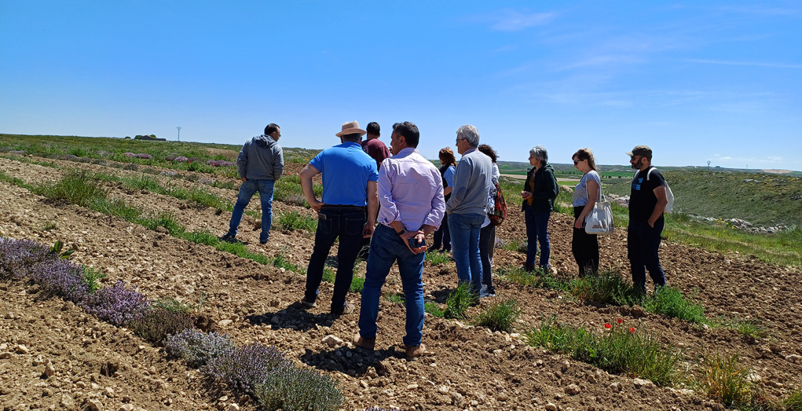 Demoday Biovalor - visita en Soria