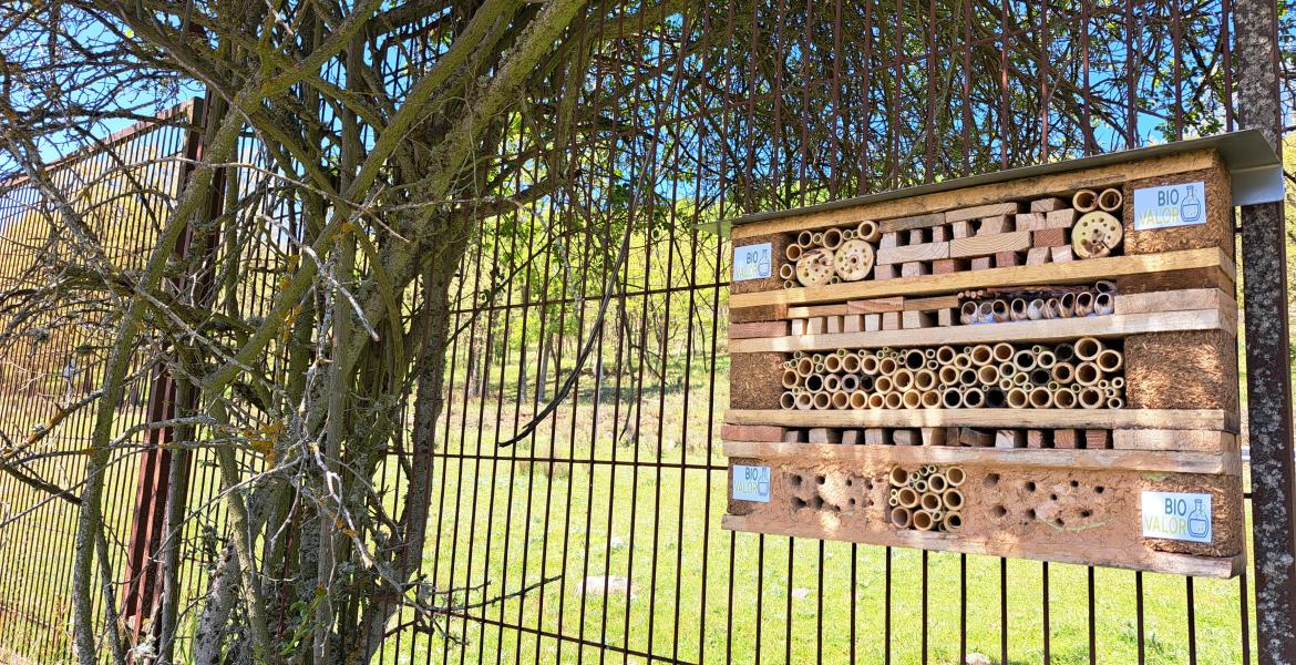 Hotel de insectos en la parcela de ensayo del CEDER