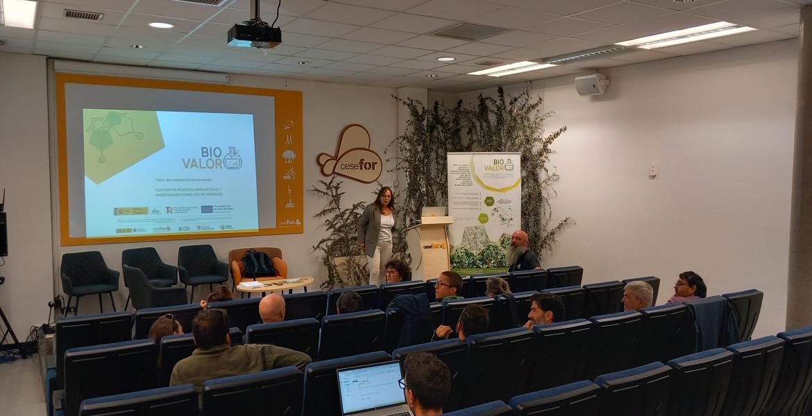 Taller de emprendimiento en Soria