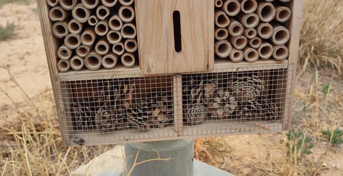 Hotel de insectos en la parcela de ensayo del CITA