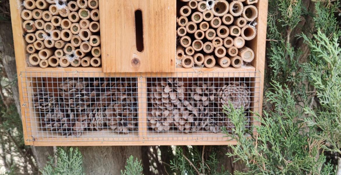 Hotel de insectos en la parcela de ensayo del CITA