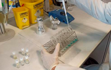 Investigación sobre antioxidantes realizada por el Área de Biotecnología de Cesefor