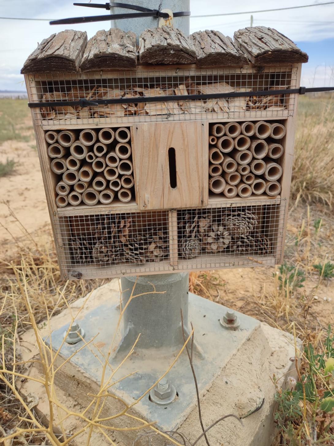 Hotel de insectos en la parcela de ensayo del CITA