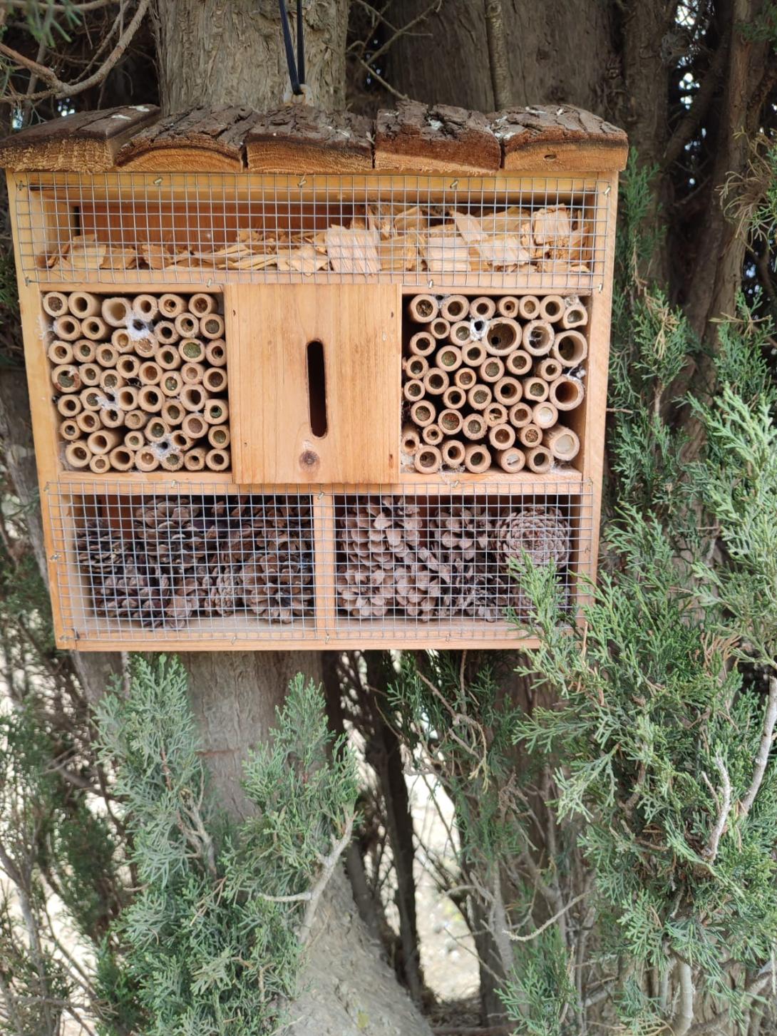 Hotel de insectos en la parcela de ensayo del CITA